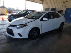 Salvage cars for sale from Copart Homestead, FL: 2016 Toyota Corolla L