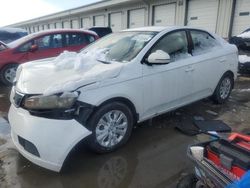 2013 KIA Forte EX en venta en Louisville, KY