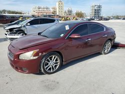 Lots with Bids for sale at auction: 2010 Nissan Maxima S