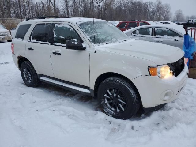 2011 Ford Escape XLT