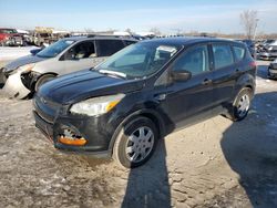 Ford salvage cars for sale: 2013 Ford Escape S