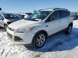 Ford Escape salvage cars for sale: 2013 Ford Escape SE