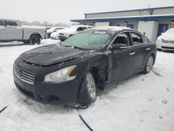 Salvage cars for sale at auction: 2010 Nissan Maxima S