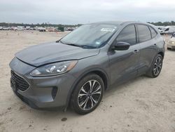 Ford Escape salvage cars for sale: 2022 Ford Escape SE