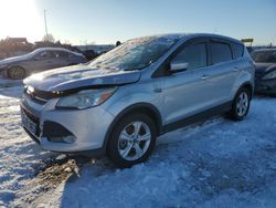 Salvage cars for sale at Cahokia Heights, IL auction: 2014 Ford Escape SE