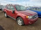 2008 Ford Escape XLT