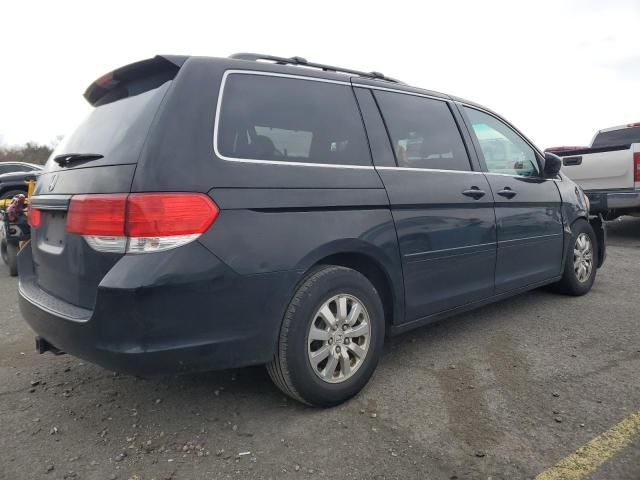 2010 Honda Odyssey EXL