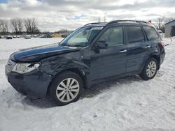 Salvage cars for sale at Barberton, OH auction: 2013 Subaru Forester 2.5X Premium