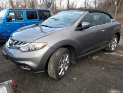 Salvage cars for sale at Marlboro, NY auction: 2014 Nissan Murano Crosscabriolet