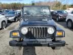 2002 Jeep Wrangler / TJ SE