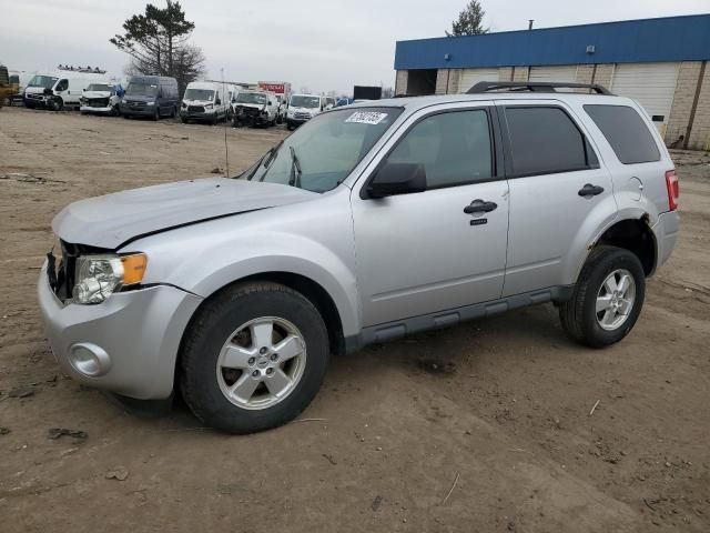 2010 Ford Escape XLT