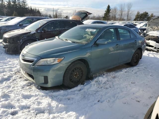 2010 Toyota Camry Hybrid