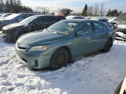 Salvage cars for sale at Bowmanville, ON auction: 2010 Toyota Camry Hybrid