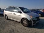 2008 Honda Odyssey EXL