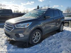 Vehiculos salvage en venta de Copart Bowmanville, ON: 2017 Ford Escape SE