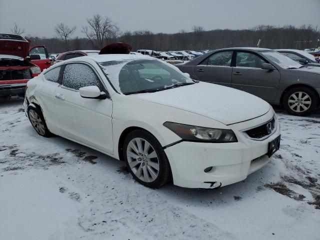 2009 Honda Accord EXL