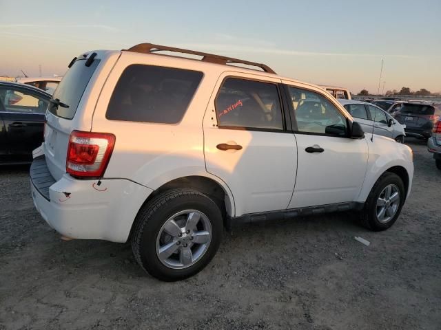 2009 Ford Escape XLT