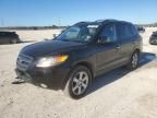 2009 Hyundai Santa FE SE