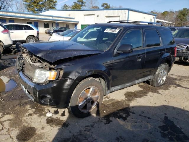 2011 Ford Escape Limited