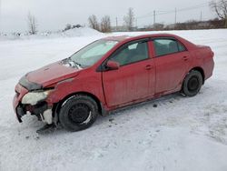 Salvage cars for sale at Montreal Est, QC auction: 2009 Toyota Corolla Base