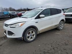 Salvage cars for sale at Duryea, PA auction: 2016 Ford Escape SE