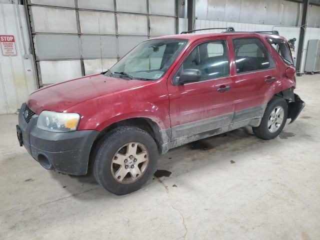 2005 Ford Escape XLT