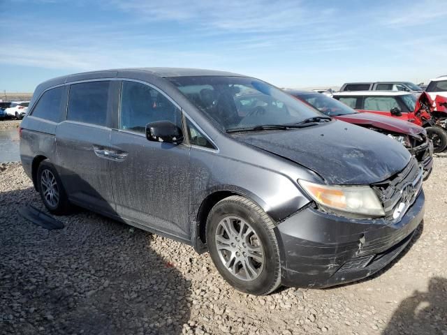 2011 Honda Odyssey EXL