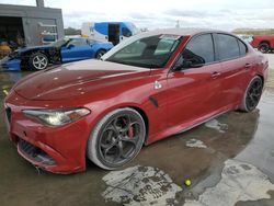 Alfa Romeo salvage cars for sale: 2019 Alfa Romeo Giulia Quadrifoglio