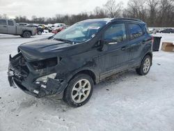 Salvage cars for sale at Ellwood City, PA auction: 2019 Ford Ecosport SE