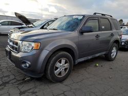 Ford Escape salvage cars for sale: 2012 Ford Escape XLT