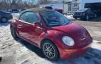 2010 Volkswagen New Beetle