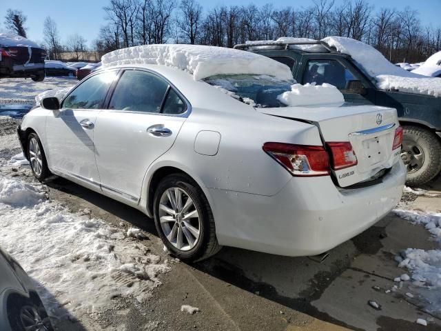 2010 Lexus ES 350