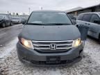 2013 Honda Odyssey EXL