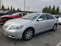 Salvage cars for sale at Rancho Cucamonga, CA auction: 2007 Toyota Camry CE