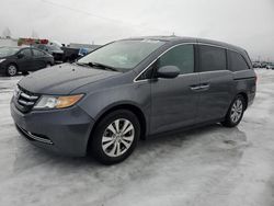 Vehiculos salvage en venta de Copart Cleveland: 2014 Honda Odyssey EXL