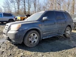 Honda salvage cars for sale: 2006 Honda Pilot EX