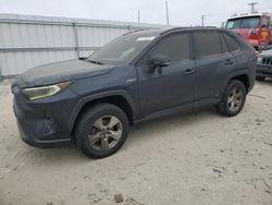 Salvage cars for sale at Appleton, WI auction: 2020 Toyota Rav4 XLE