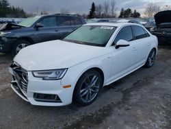 Salvage cars for sale from Copart Ontario Auction, ON: 2017 Audi A4 Prestige