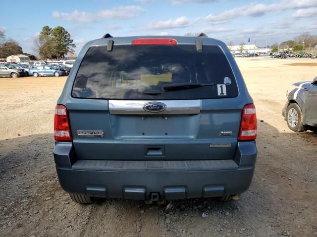 2011 Ford Escape Limited