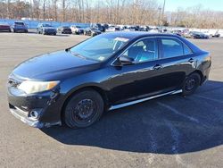 Salvage cars for sale from Copart Glassboro, NJ: 2014 Toyota Camry L