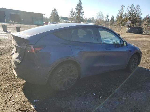 2020 Tesla Model Y