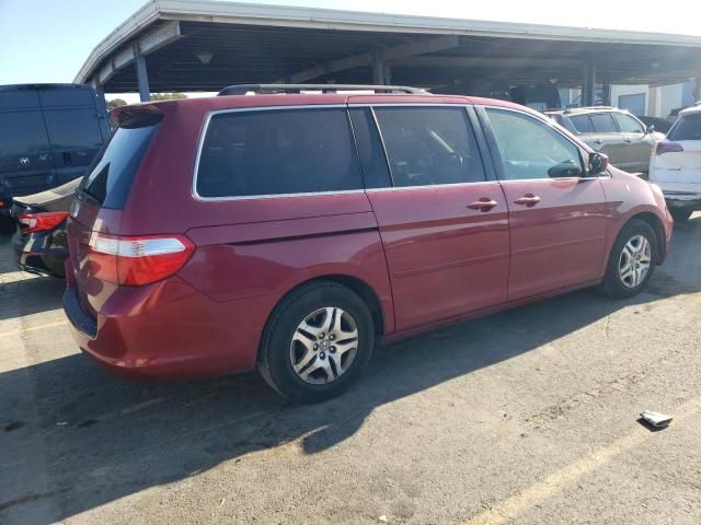 2006 Honda Odyssey EXL