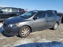 Toyota salvage cars for sale: 2009 Toyota Corolla Base