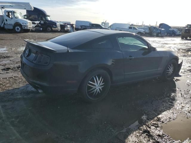 2013 Ford Mustang