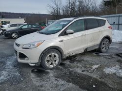 Salvage cars for sale at Grantville, PA auction: 2013 Ford Escape SEL