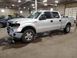 Ford salvage cars for sale: 2014 Ford F150 Supercrew