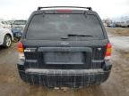 2007 Ford Escape XLT