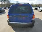 2005 Ford Escape XLT