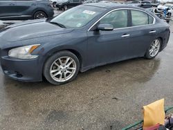 Salvage cars for sale at New Orleans, LA auction: 2009 Nissan Maxima S