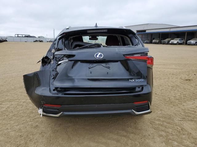 2019 Lexus NX 300H